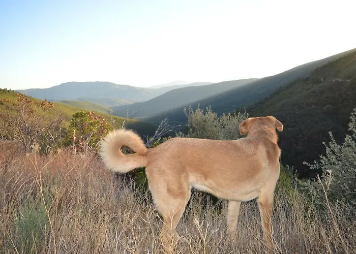 Las Estrebedes Casa Rural Летний дом Каминомориско